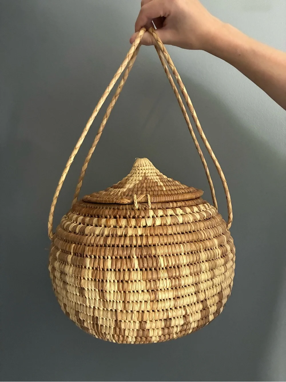 Handmade Lidded African Coiled Basket with Handles Natural Woven Storage Basket